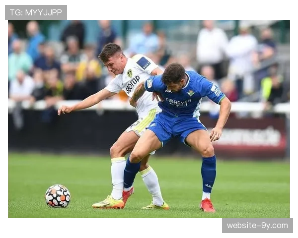 利兹联3-0完胜狼队，主场强势表现巩固中游位置